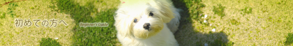 来院時のご注意