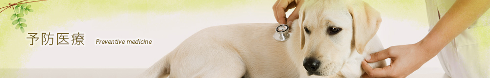 予防医療