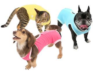 エリザベスウェア