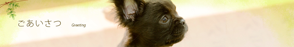 ごあいさつ